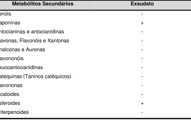 Tabela  2  –  Detecção  de  metabólitos  secundários  em  exsudato  de  sementes  de  moringa após contato com água por 24 horas 