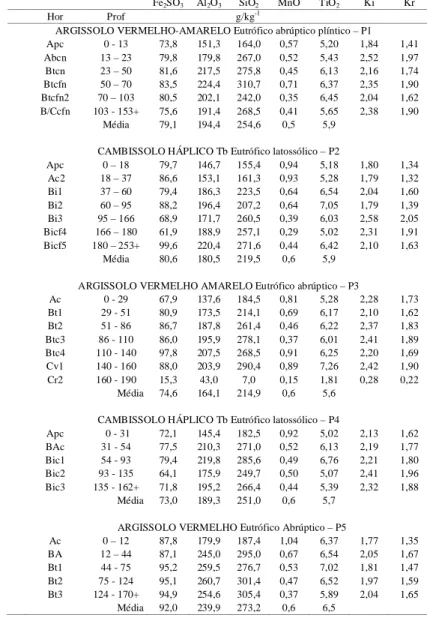 Tabela 6 - Teores de alguns elementos obtidos por meio do ataque sulfúrico, Ki e Kr. 