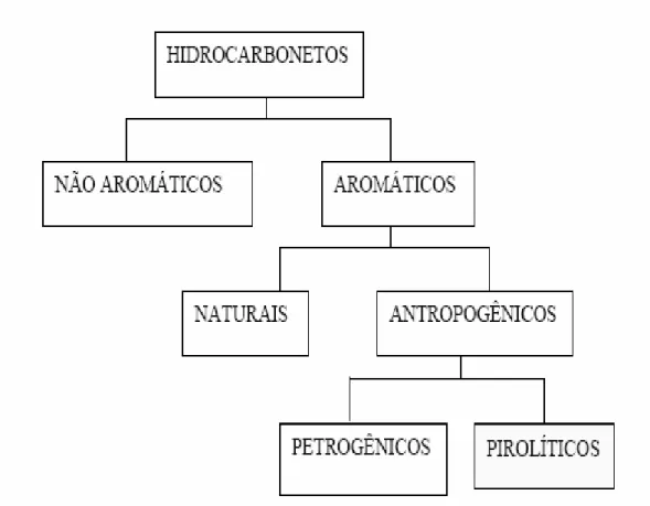 Figura 4 - Divisão dos hidrocarbonetos segundo sua origem (Netto e col.,  2000). 