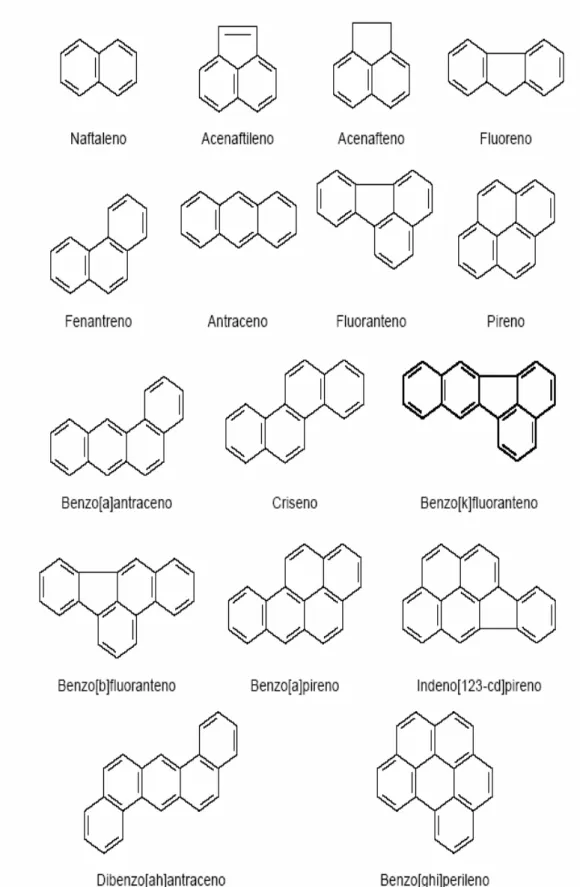 Figura 5 - Estrutura molecular dos alguns hidrocarbonetos policíclicos  aromáticos prioritários (IARC, 2002)
