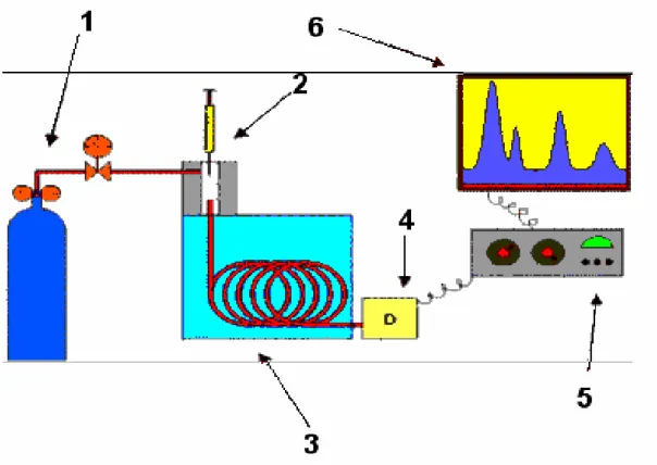 Figura 6 - Esquema de um cromatógrafo a gás (Cerdeira, 2004). 