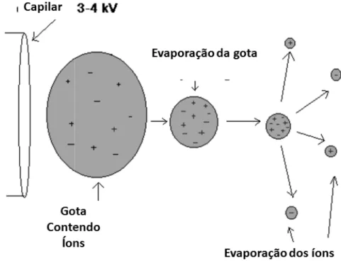 Figura 10 – Processo de ioniz