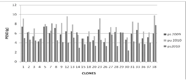 Figura 1. Peso médio (g) dos frutos de aceroleira colhidos na estação seca de 2009, úmida de 210 e seca  de 2010