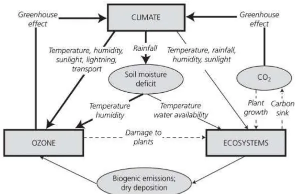 Figura 9. Representação esquemática das interações entre o clima, os ecossistemas e o  ozônio  troposférico