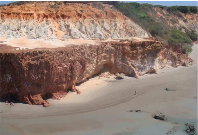 Figura 10  –  Formação Geológica Barreiras exposta em falésia presente na praia da Redonda (Icapuí,  CE)