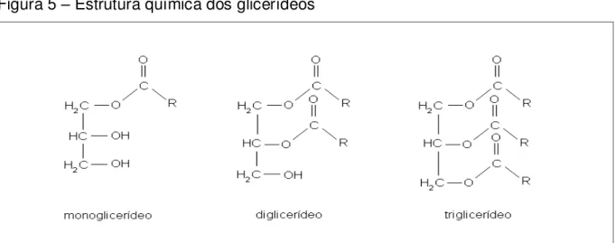 Figura 5  –  Estrutura química dos glicerídeos 