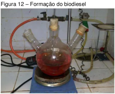 Figura 12  –  Formação do biodiesel 