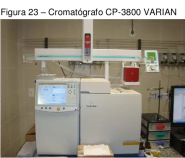 Figura 23  –  Cromatógrafo CP-3800 VARIAN 