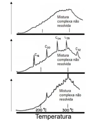 Figura 5 Cromatograma de um sedimento contaminado por  hidrocarbonetos, ilustrando a presença de UCM 