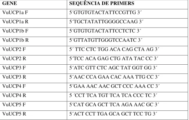 Tabela  1  –   Primers  específicos  usados  em  ensaios  de  PCR  semi-quantitativa.  F  =  Forward (senso) e R = Reverse (anti-senso)