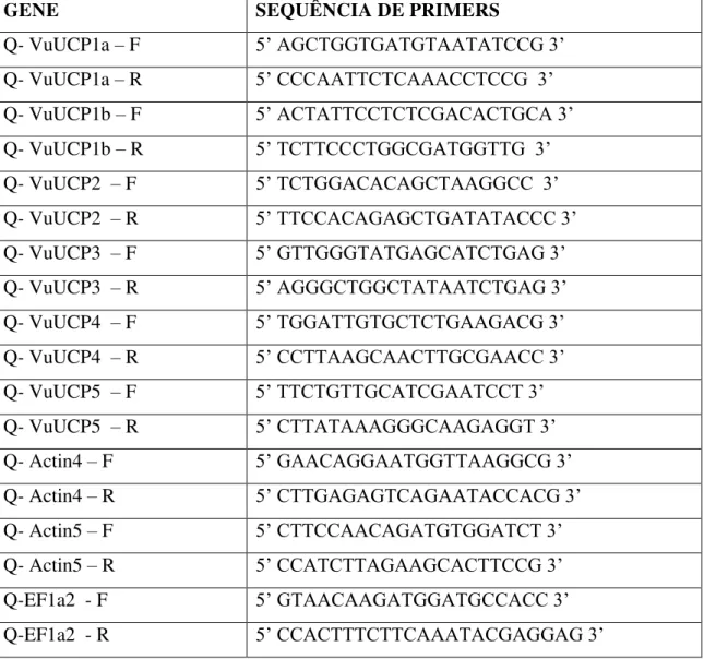Tabela  2  –   Primers  específicos  usados  em  ensaios  de  PCR  quantitativa  (qPCR)