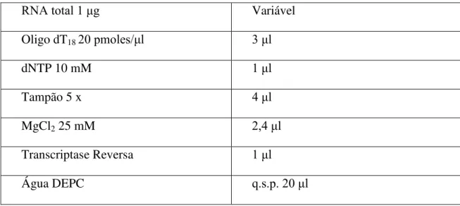 Tabela 3 - Mistura de reação da transcrição reversa (RT) usando RNA total de Vigna  unguiculata 