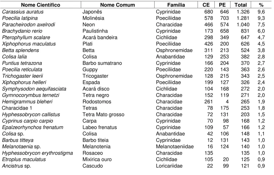 Tabela  1  –  Espécies  de  peixes  ornamentais  visualizadas  para  venda  no  estado  do  Ceará  e  Pernambuco,  no  momento  das  entrevistas ao comércio varejista do período de 2007 a 2010  