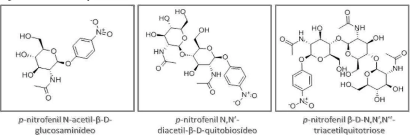 Figura 19 – Estruturas químicas dos substratos sintéticos utilizados nos ensaios enzimáticos 