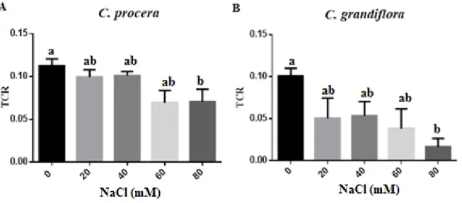 Figura  7 - Taxa de crescimento relativo (TCR) dos calos de  C.  procera (A) e  C.  grandiflora (B) submetidos a  estresse salino em concentração crescente de NaCl (0, 20, 40, 60 e 80 mM de NaCl)