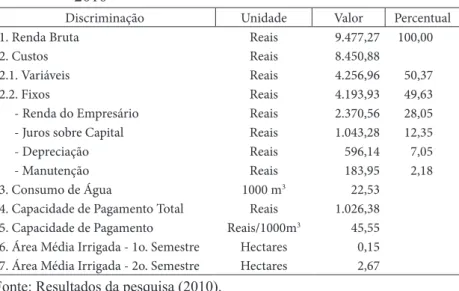 Tabela 3  -   Capacidade de pagamento dos irrigantes públicos produtores  de grãos do perímetro Morada Nova na bacia do Jaguaribe,  2010