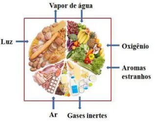 Figura 4  –  Principais barreiras que uma embalagem deve conferir ao alimento 