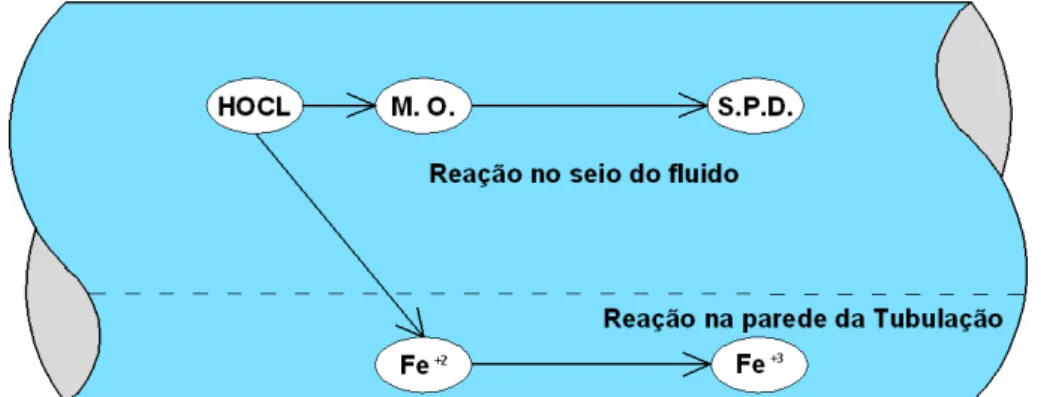 Figura 2.1 – Exemplo das reações de decaimento do cloro em uma tubulação de ferro. 2