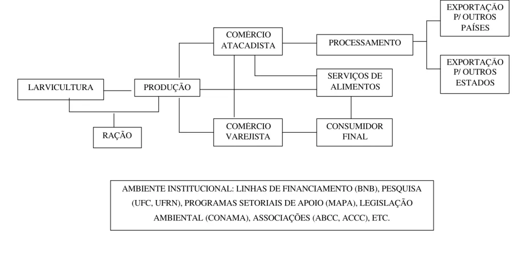 Figura 5 – Fluxograma da cadeia produtiva do camarão cultivado no Estado do Ceará. 