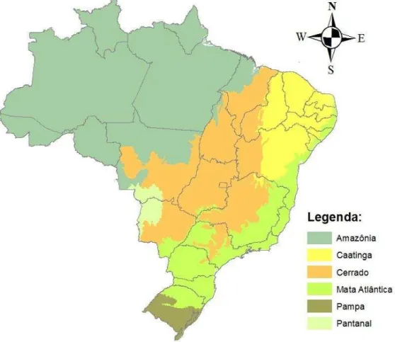 Figura 2: Mapa esquemático de representações dos biomas brasileiros. 