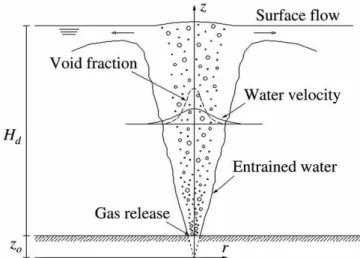 Figure 1 Deﬁnition sketch of a round bubble plume