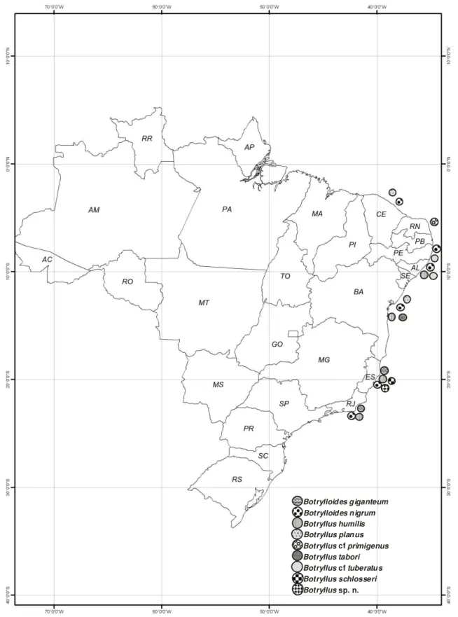 Figura  1.  Distribuição  dos  Botryllinae  coletados  ao  longo  do  litoral  tropical  brasileiro