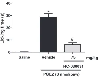Figure 4 Effect of HC-030031 on paw PGE 2 -induced nociception. Vehicle or HC-030031 treated animals were injected with saline or PGE 2 into the hind paw