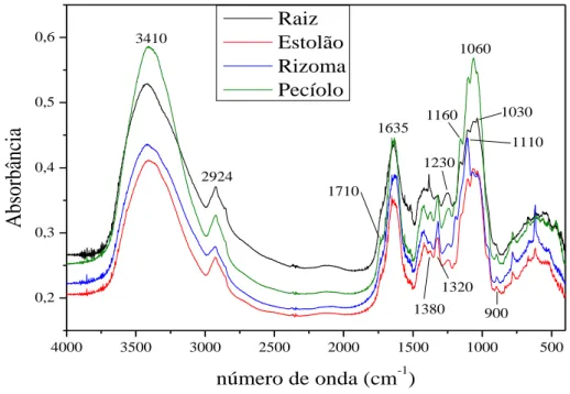 Figura 12  –  Espectro FTIR das diferentes partes do aguapé.  4000 3500 3000 2500 2000 1500 1000 5000,20,30,40,50,6 Absorbância número de onda (cm -1 ) Raiz Estolão Rizoma Pecíolo341029241635 1060 1030 111013809001160123013201710