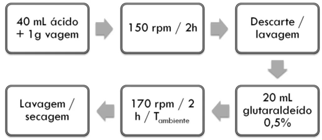 Figura 9 – Fluxograma das etapas de modificação da vagem seca do feijão com ácido tânico