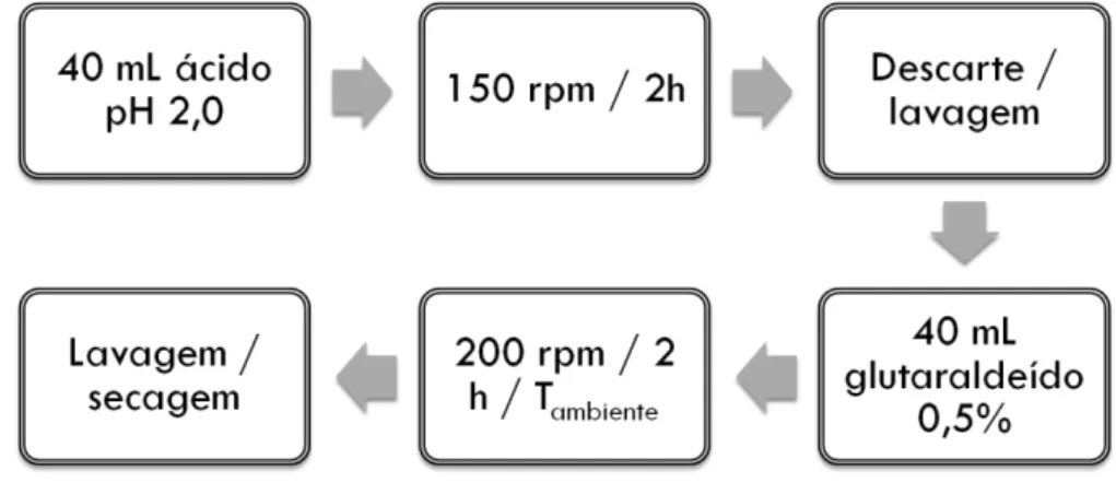 Figura  10  –   Fluxograma  das  etapas  de  modificação  da  vagem  seca  do  feijão  com  ácido  poliacrílico  ou  poliacrílico-co-acrilamida