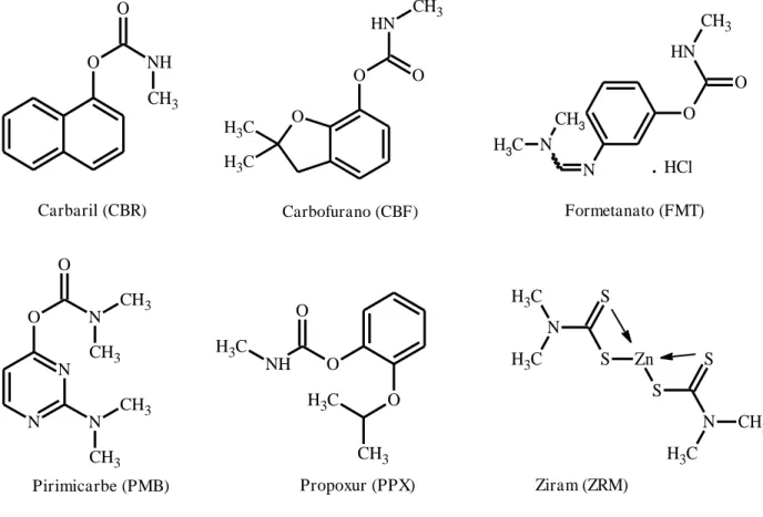 Figura 2 – Estruturas químicas de diferentes ingredientes ativos do grupo dos  n -metilcarbamatos 