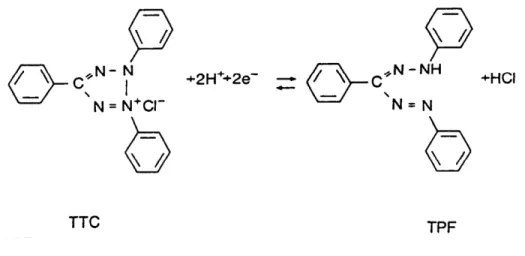 Figura 5 - Conversão do 2,3 - trifenil cloreto de tetrazólio (TTC) em trifenil formazan  (TPF) catalizada por  desidrogenases