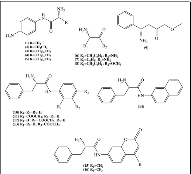 Figura 10: Aminoácidos utilizados para biotransformação por  Helianthus annuus  L.  O 2 N HN O RNH2 (1) R=CH 3 (2) R=CH 2 CH 3 (3) R=(CH 2 ) 2 CH 3 (4) R=(CH 2 ) 3 CH 3 (5) R=(CH 2 ) 4 CH 3 OR 2R1H2N(6) R1=CH2C6H5 ; R 2 =NH 2(7) R 1 =C 6 H 5 ; R 2 =NH 2 (8