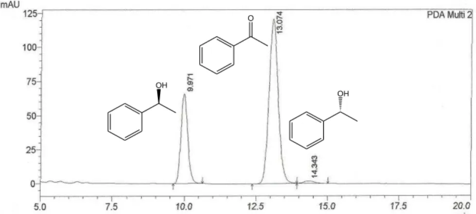Figura 21: Cromatograma do produto da biorredução da acetofenona utilizando 5% de  isopropanol