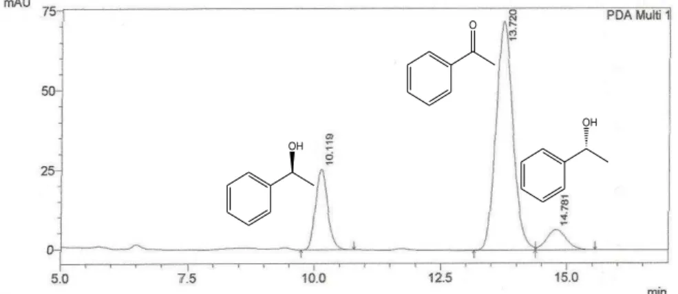 Figura 25: Cromatograma do produto da biorredução da acetofenona utilizando solução  tampão pH 8,0