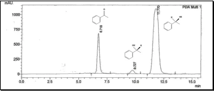 Figura 24- Cromatograma da biorredução da acetofenona (1a) utilizando 1g de biomassa em sistemas de  células em repouso 
