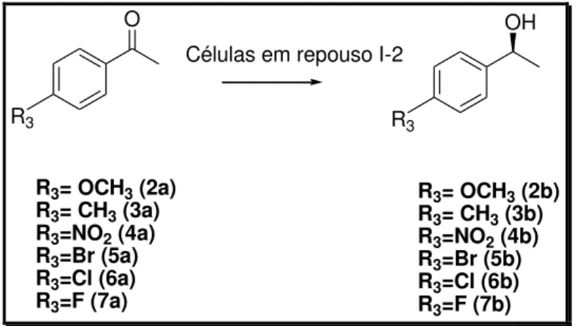 Figura 34- Reação de biorredução utilizando cetonas aromáticas -para substituídas   O