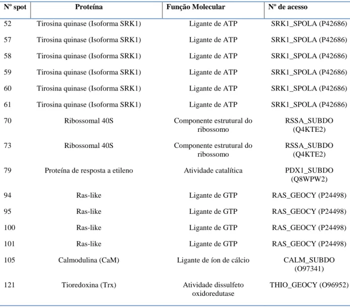 Tabela 6 - Proteínas de Aaptos sp. com base no banco de dados UniProt. 