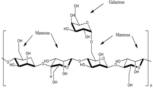 Figura 7 - Estrutura geral das galactomananas e suas principais unidades 