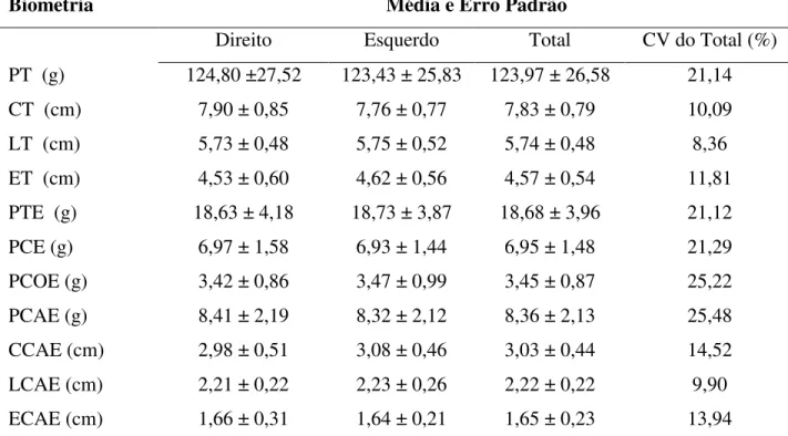 Tabela 1 – Média ± erro padrão e Coeficiente de Variação da biometria testículo-epididimária de  ovinos deslanados  SPRD