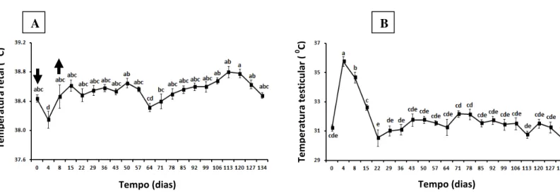 Figura  1:  Mudanças  na  temperatura  retal  (A)  e  testicular  (B)  em    carneiros  Morada  Nova branco submetidos a insulação escrotal (média ± erro-padrão)