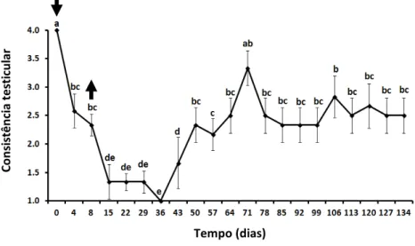 Figura  3:  Mudanças  na  consistência  testicular  em    carneiros  Morada  Nova  branco  submetidos a insulação escrotal (média ± erro-padrão)