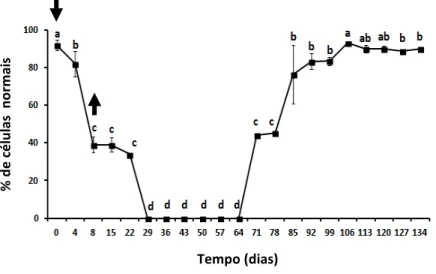 Figura  5:  Mudanças  no  percentual  de  células  normais  em  carneiros  Morada  Nova  branco  submetidos  a  insulação  escrotal  (média  ±  erro-padrão)