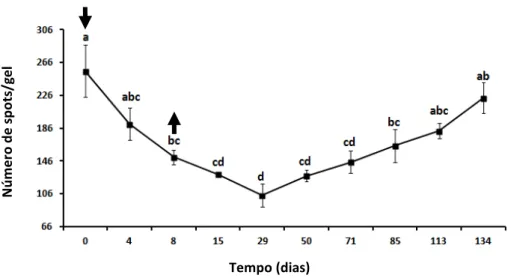 Figura  6:  Mudanças  no  número  de  spots  proteicos  no  plasma  seminal  de  carneiros  Morada Nova branco submetidos a insulação escrotal (média ± erro-padrão)