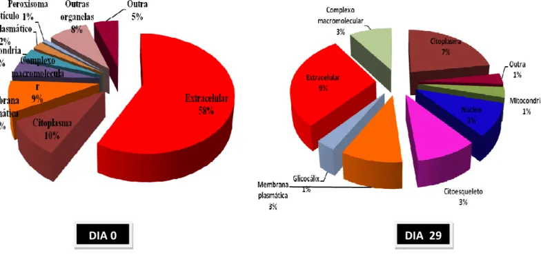 Figura  10:  Gráficos  que  mostram  as  categorias  de  ontologia  gênica  das  proteínas  do  plasma seminal de carneiros Morada Nova submetidos à insulação escrotal, com base  nos seus processos biológicos, funções moleculares e componentes celulares