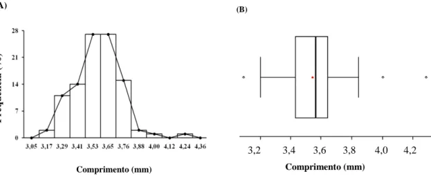 Figura  3  –   Histograma  e  polígono  de  frequência  (A)  e  Blox  Plot  (B)  do  comprimento  de  100  sementes  do  quimiotipo CE3