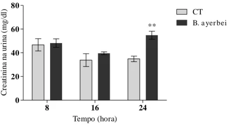 Figura  10.  Avaliação  dos  valores  urinários  de  creatinina  em  ratos,  nos  grupos  controle  e  tratado com o VBa, quando avaliado em diferentes tempos