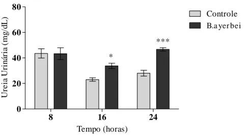 Figura 11. Avaliação temporal dos valores urinários da ureia gerados pelo veneno da serpente  B