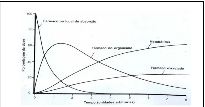 Figura 5. Representa o tempo que um fármaco permanece no organismo e a forma  como pode ser excretada (ROWLAND &amp; TOZER, 1995)