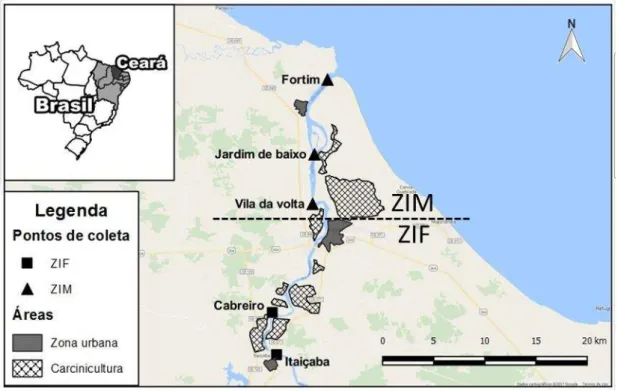 Figura  2  -  Mapa  de  localização  dos  pontos  de  amostragem,  zonas  urbanas  e  fazendas de camarão no Baixo Jaguaribe, CE 